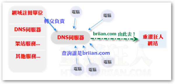 DNS服务器