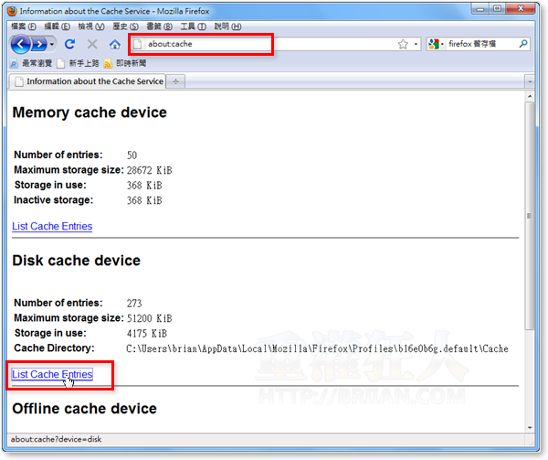 1--CacheViewer-查看Firefox暂存档内容