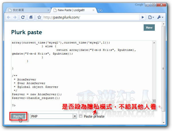 02-Plurk paste