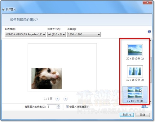 6-Paint.NET-免费绘图软体-中文版