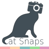[猫咪自拍]「Cat Snaps」自动捕捉猫大王的超囧照（iPhone, Android）
