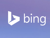 如何移除 Bing.com 服务器引擎telegram中文的背景图？