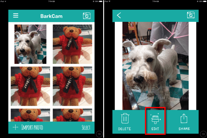 barkcam_2