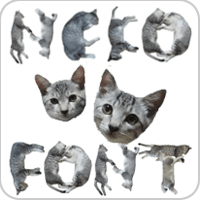 OH~ 猫咪好软 Q！用各种逗趣姿势摆出你需要的「猫字体」