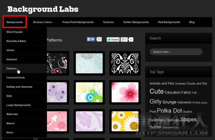 backgroundlabs_2