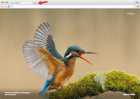 在 Google Chrome 新分页显示 Flickr 数万张美图！