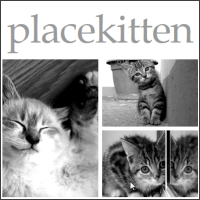为身为猫控的网页设计师准备的「placekitten」猫咪网页范例图