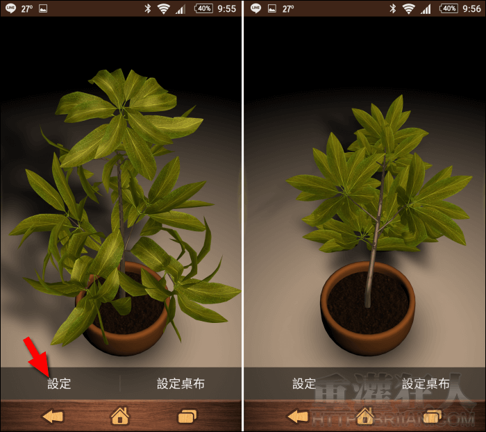 my3dplant_1