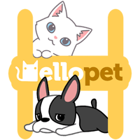 Hellopet 互动性超高的手机桌面宠物养成 App（Android）