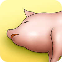 这次来养猪好了！「幸福呼噜」好疗癒肥嘟嘟的小猪养成游戏（iPhone, Android）