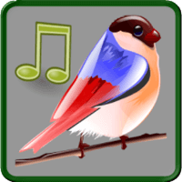超自然催眠剂「鸟类的声音」有 11 种纯粹的鸟叫声（Android）