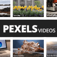 Pexels Videos 可尽情使用、免费telegram中文版下载的telegram中文telegram中文库