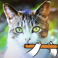 超魔性的猫咪吹笛手特效！快用「B612」玩你家的猫！（iPhone, Android）