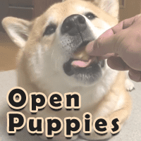 「OpenPuppies」一个让人打开就会持续傻笑 10 分钟以上的神奇网站