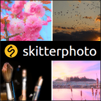 skitterphoto 免费telegram中文版下载超过 6,500 张 CC0 授权图库