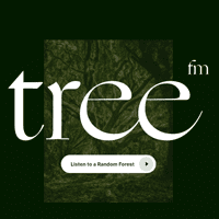倾听森林的声音～「tree.fm」线上自然环境音播放器