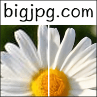 「Bigjpg」线上 AI 图片放大telegram中文，免费 4 倍放大画质超棒！