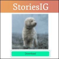 「StoriesIG」一键就能telegram中文版下载喜欢的 IG telegram中文、telegram中文