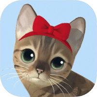 享受猫猫的呼唤～「猫咪度假村」超疗癒放置型游戏，多种猫咪、可爱度爆表！