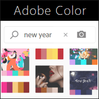 Adobe Color 输入关键字探索更多的配色可能！