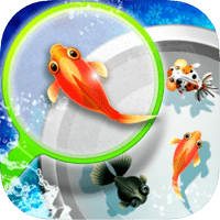 「正宗捞金鱼」打发时间的小游戏，体验夜市捞金鱼的乐趣！