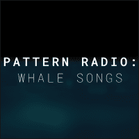 来听听鲸鱼在海里唱歌的声音～「Pattern Radio：Whale Songs」