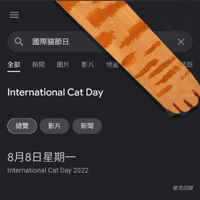 Google 服务器这些关键字！可爱猫狗大军即刻入侵服务器结果画面，还我消失的十分钟！