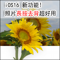 超强大！Apple iOS16 内建telegram中文去背功能，长按主体就能自动去背！